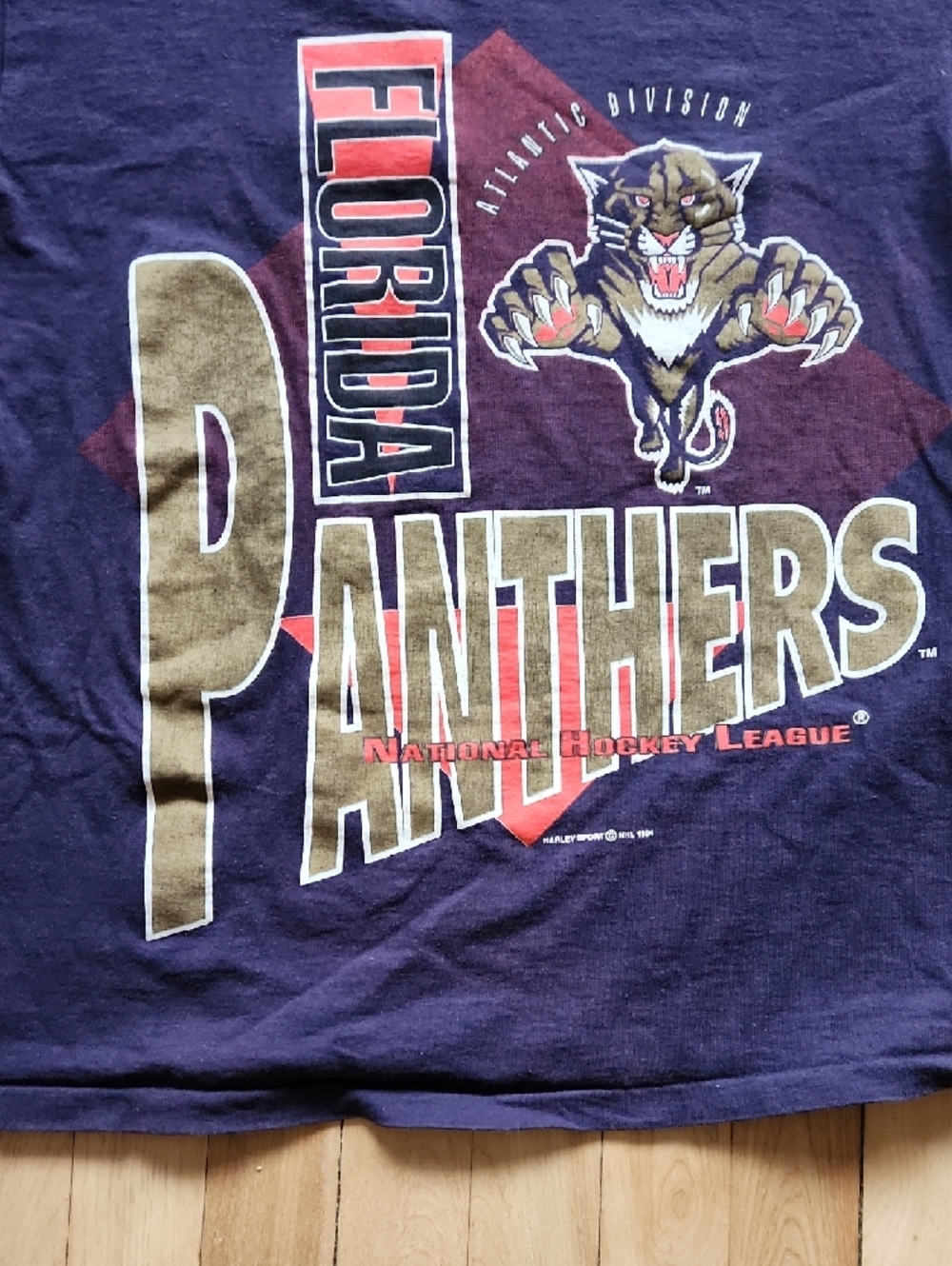Gildan Navy Florida Panthers Graphic Tee with Gold Accents - Picture 5 of 13